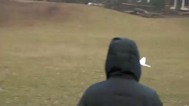 RCPowers F22 v2 Maiden 11.1V 2200kv 40 Amp