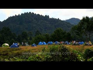 Colours splash on an already colourful setting: Camp Ziro