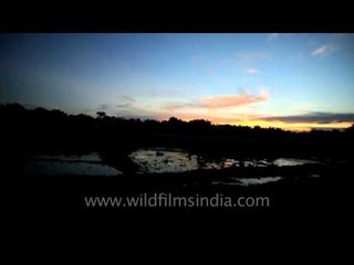 As the sun sets in an orange sky in Assam: To Ziro