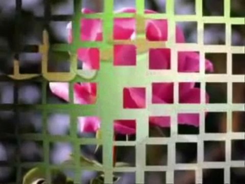 Hasan Dursun Kurban Olam Ya Muhammed ilahi dinle