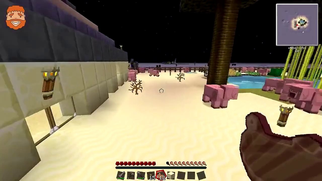 OASIS SURVIVAL | Minecraft | Ep.13, w/Dumb and Dumber