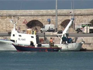 Download Video: TG 07.10.13 Maxi truffa al porto di Molfetta. L'ex sindaco Azzollini fra gli indigati