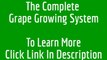 The Complete Grape Growing System complete grape growing system review