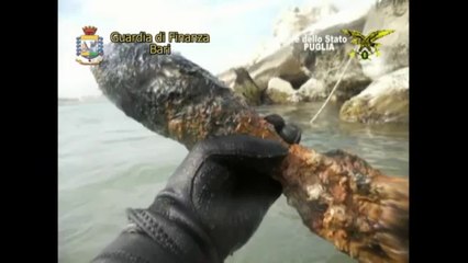 Bari - Truffa, sigilli al porto di Molfetta, 2 arresti, 62 indagati (07.10.13)