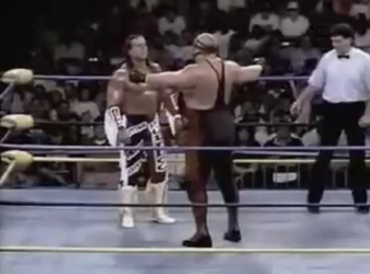 Big Van Vader vs Davey Boy Smith-WCW Heavyweight Title 1 - video dailymotion