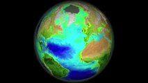Séquence science: Du plancton au satellite © V.Hilaire/francetv nouvelles écritures/Thalassa/Tara Expéditions
