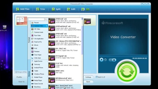 How to add watermark to AVI, MOV, MP4,MTS, FLV, WMV, MKV etc. video