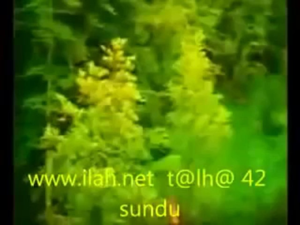 Menzil ilahileri Abdurrahman Önül Seydam dinle,