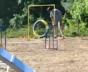 Tike's first agility show and go