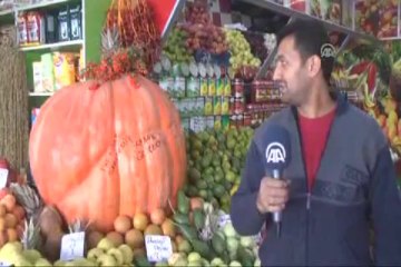 136 kiloluk dev kabak