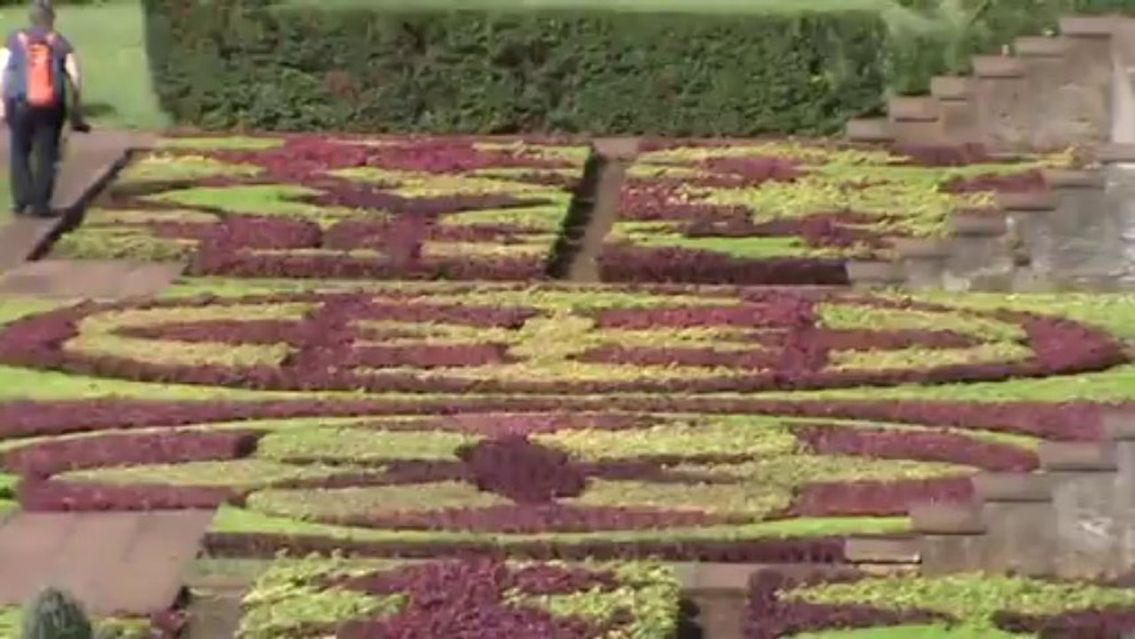 Madeira Jardim Botanico da Madeira Botanischer Garten (4)