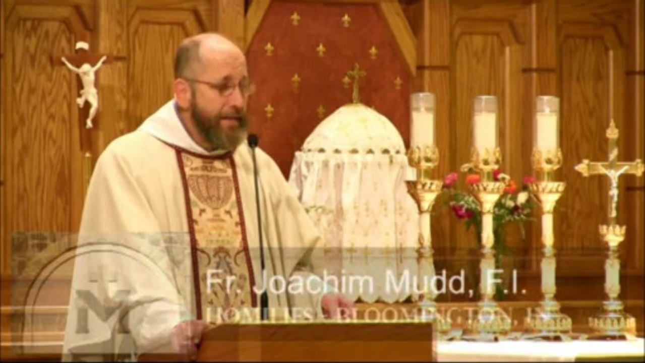 Oct 08 - Homily: Repent and Believe