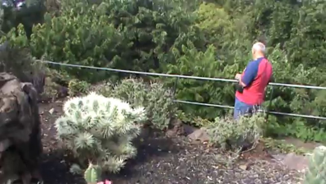 Madeira Jardim Botanico da Madeira Botanischer Garten (6)