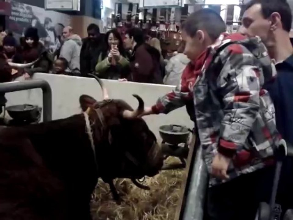SALON DE L'AGRICULTURE 2013