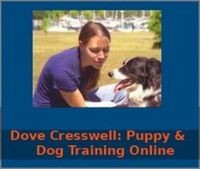Dove Cresswells Dog Training Online Review + Bonus