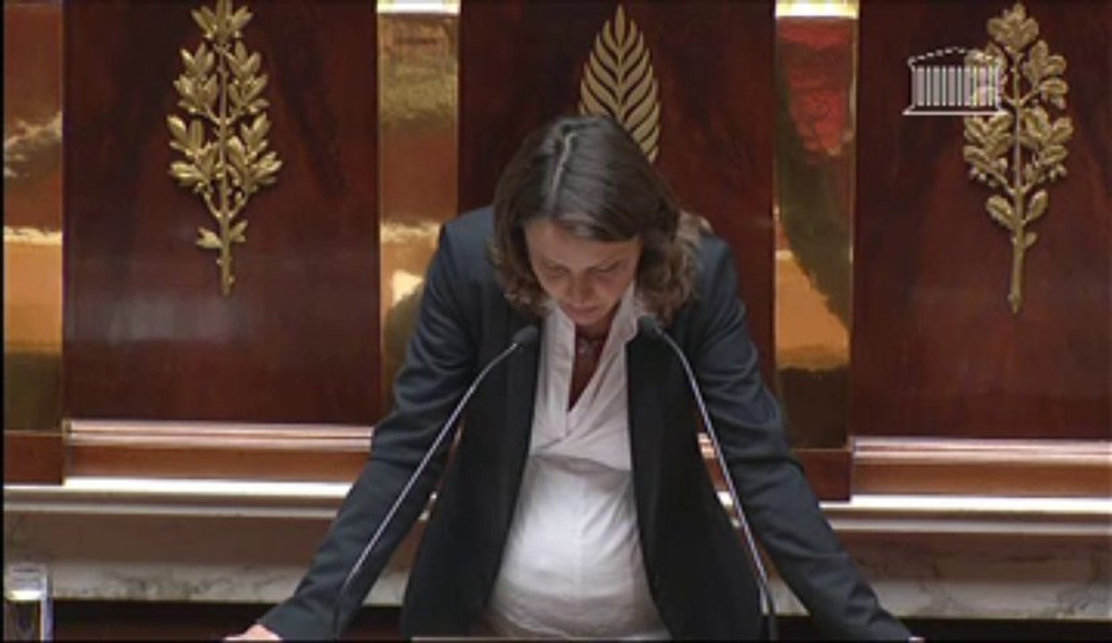 Déclaration générale d'Eva Sas sur la réforme des retraites