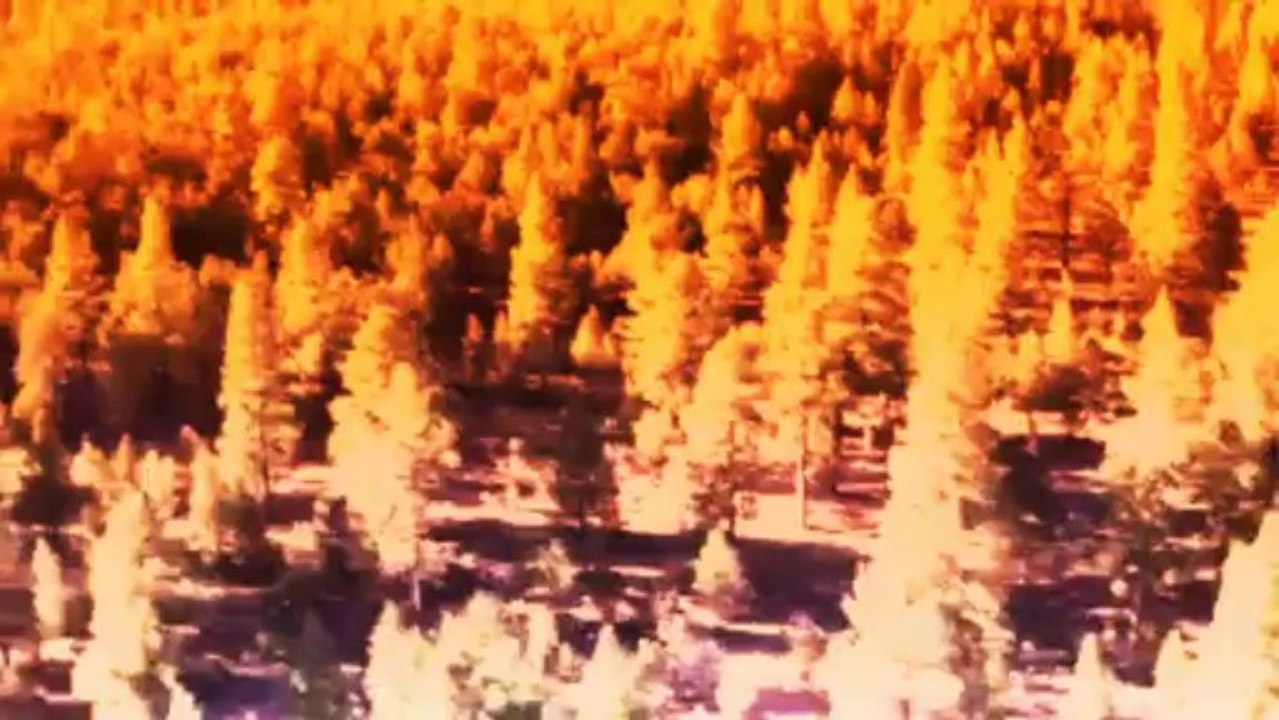 Trentemøller: My Dreams feat. Marie Fisker