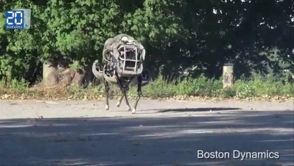 Robots: La réalité dépasse la science-fiction
