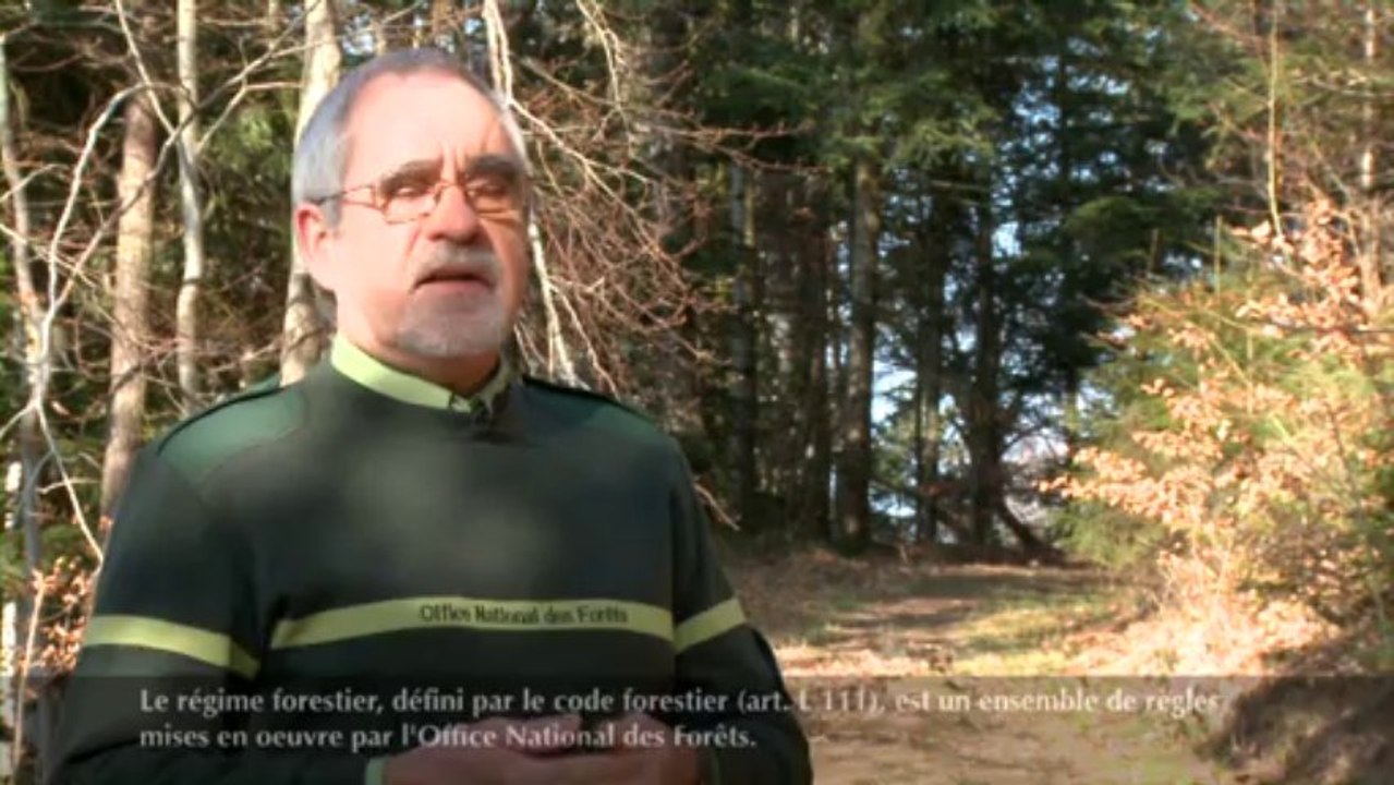 Les biens de section