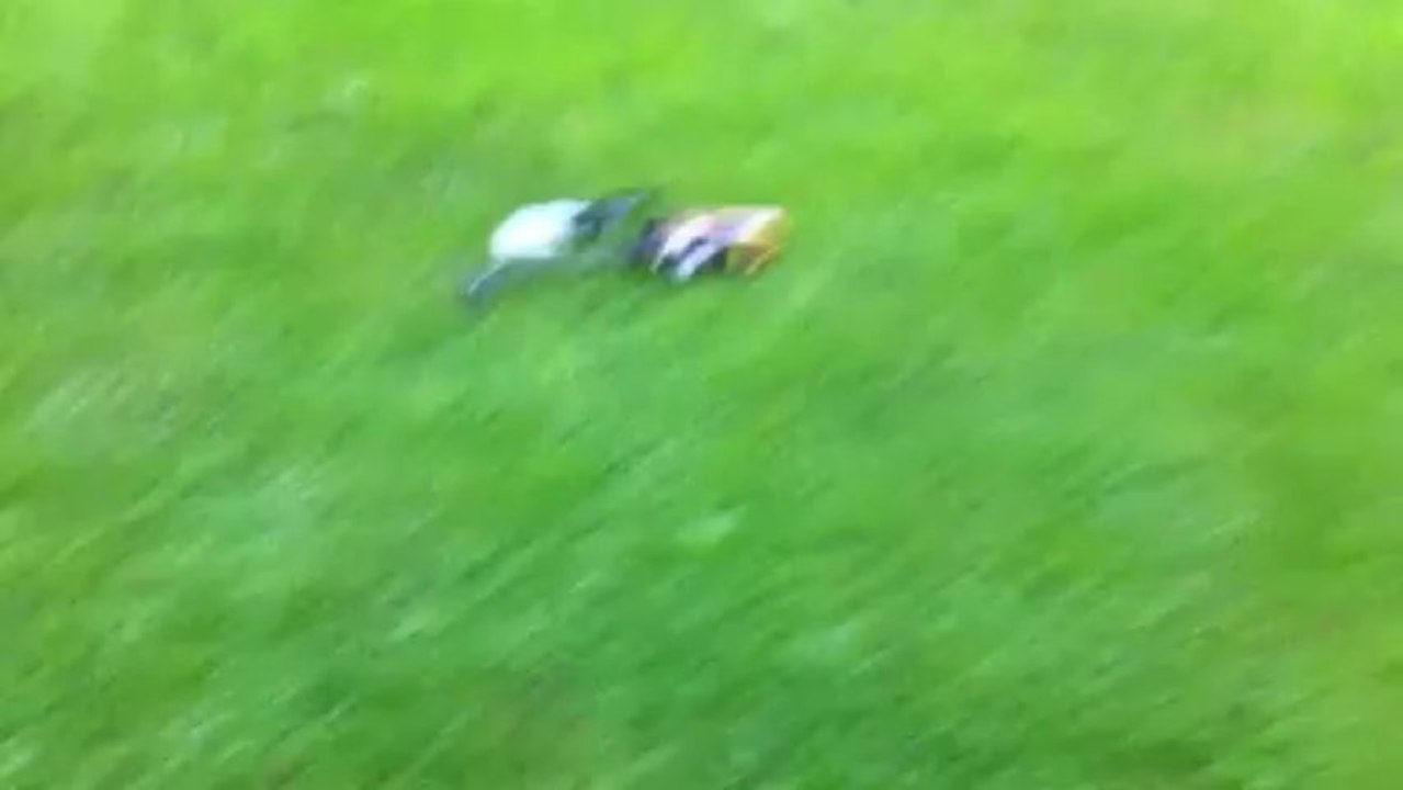 Crash HK450