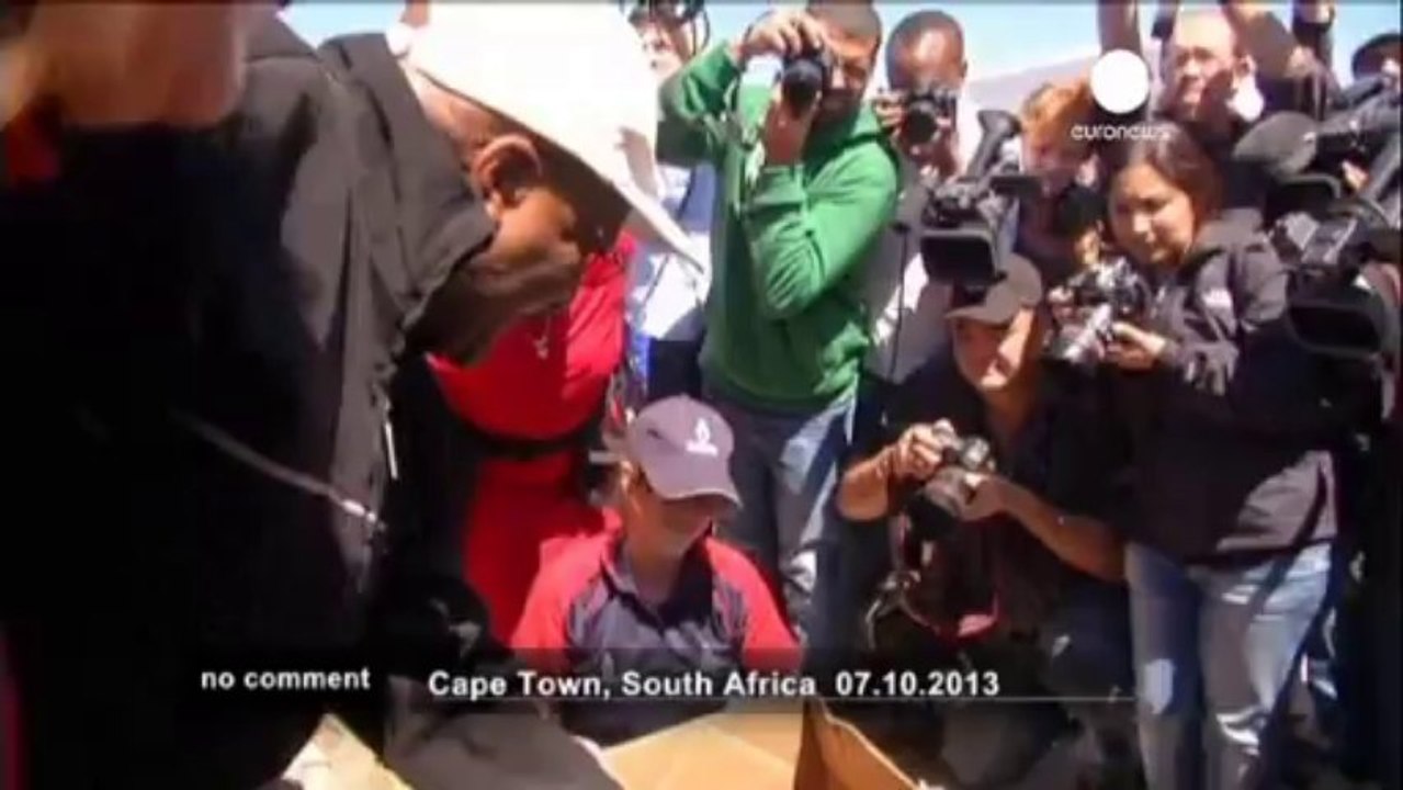 A penguin as a gift for Desmond... - no comment