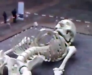 Biggest Human Skeleton Video