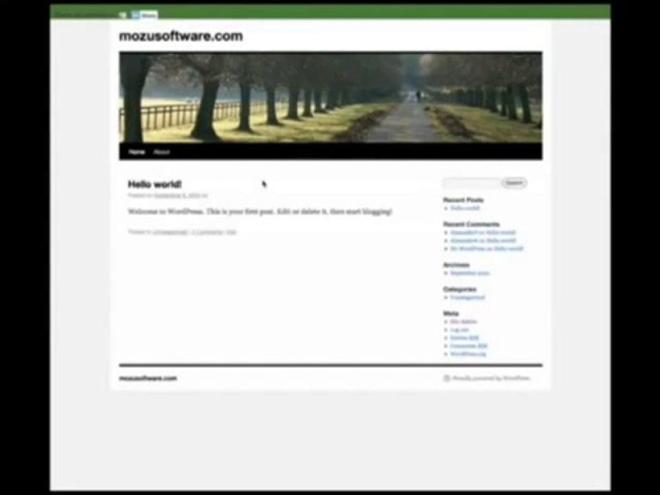 Viral Traffic Optimizer: Software in Action, Training, Review of Viral Traffic Optimizer, Not a Scam