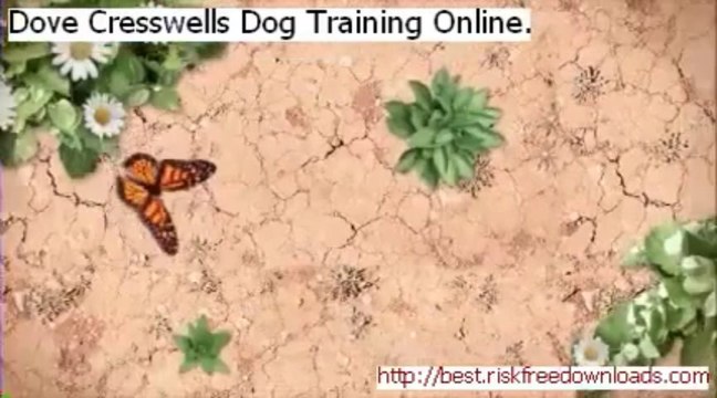 Dove Cresswells Dog Training Online. Scam - Dove Cresswells Dog Training Online. Scam