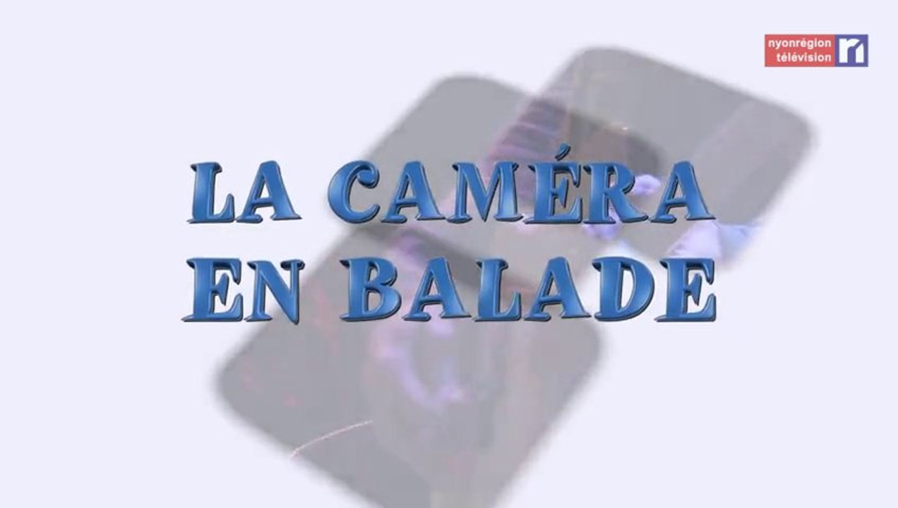 La Caméra en balade - Marché aux puces de Nyon (8.10.2013)