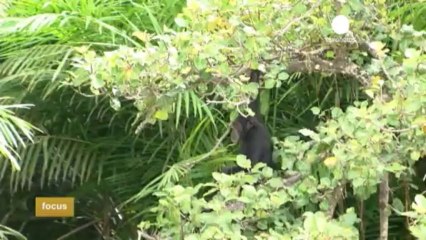 Il Gambia punta sull'ecoturismo: viaggiare secondo natura