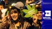 Uruguai fica a um passo de legalizar maconha após aprovação dos deputados
