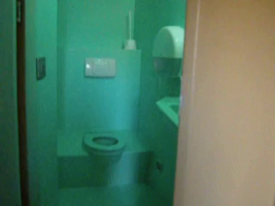 Turquoise Toilets