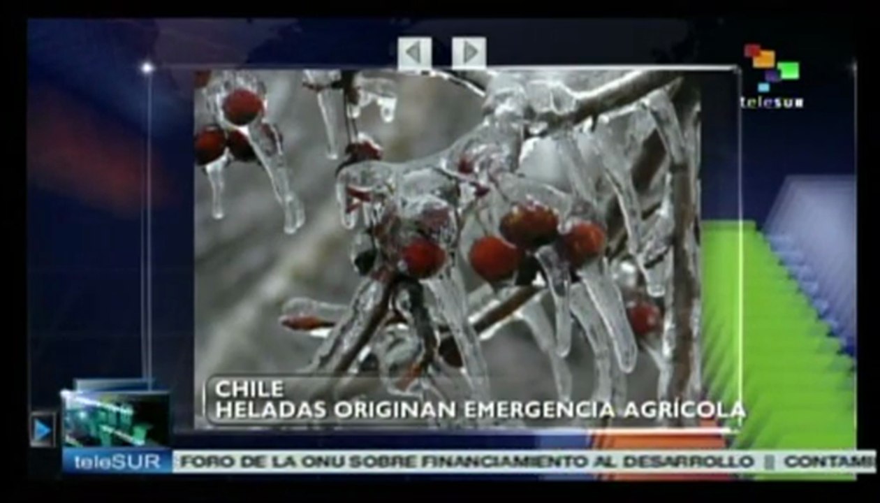 Impacto económico