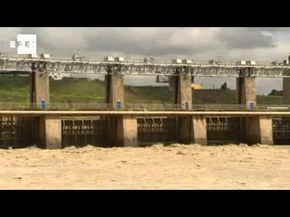 EFEverde, información y periodismo ambiental