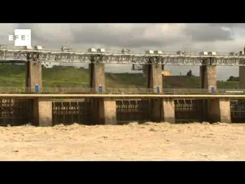 EFEverde, información y periodismo ambiental