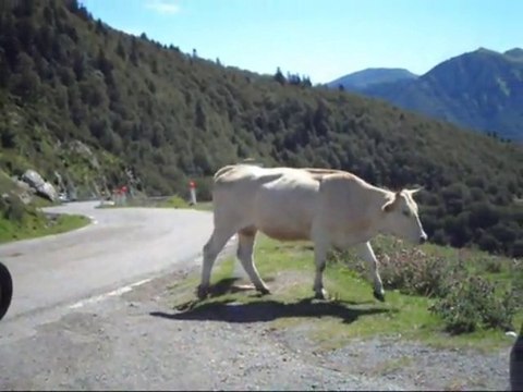 Le Col d'Aspin - Hautes Pyrénées