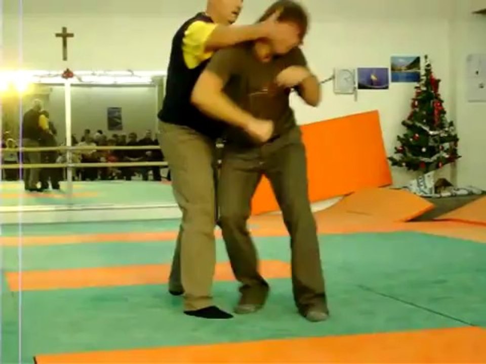 Kadochnikov Systema à Colmar(68)