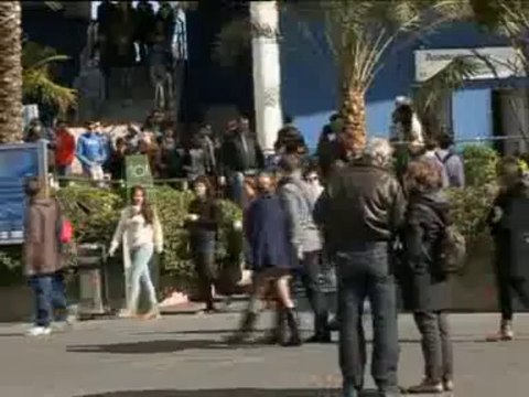 El Oceanogràfic de la Ciudad de las Artes y las Ciencias cumple diez años