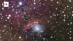 Una fotografía de ESO muestra la anarquía bajo la que se forman las estrellas