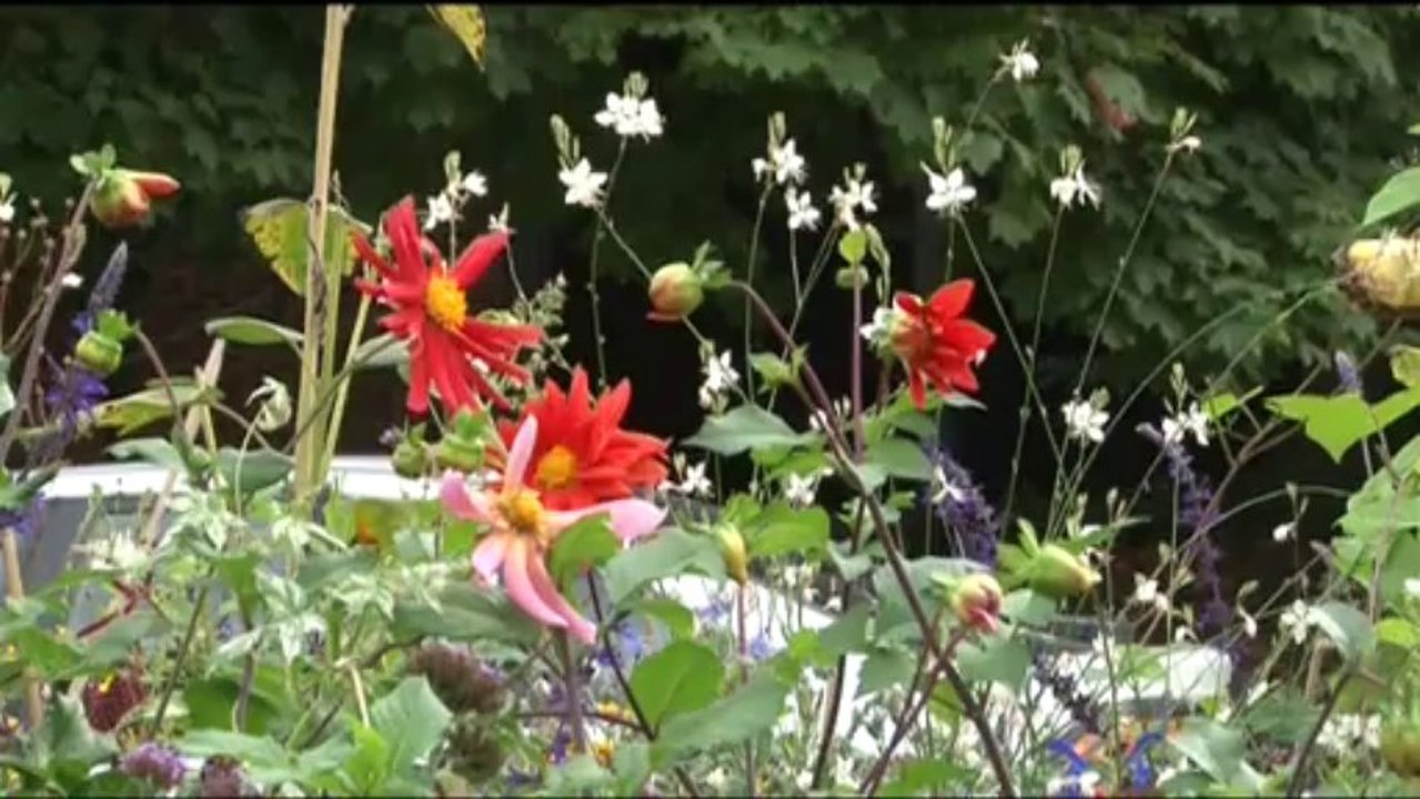 Fontenay pour tous, tous pour Fontenay avec Jean-François Voguet !