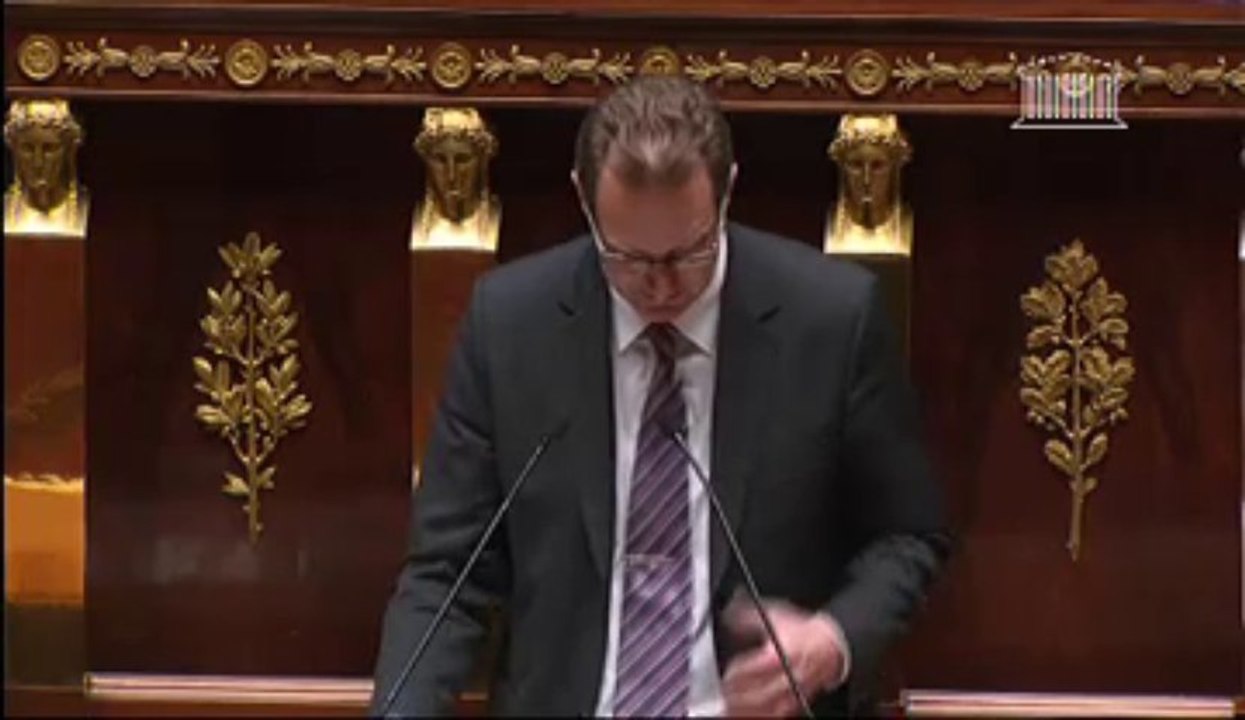 motion lecture définitive PPL Brottes