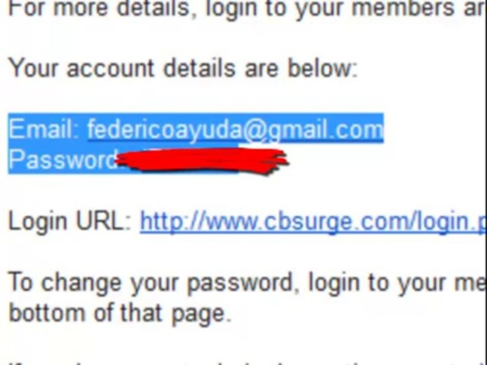 Tipos de negocios rentables en Internet. CB Surge