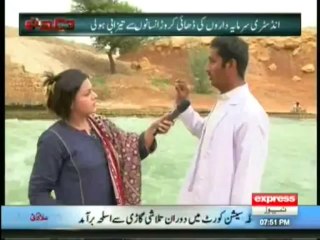 Daikh Tu - 8th October 2013