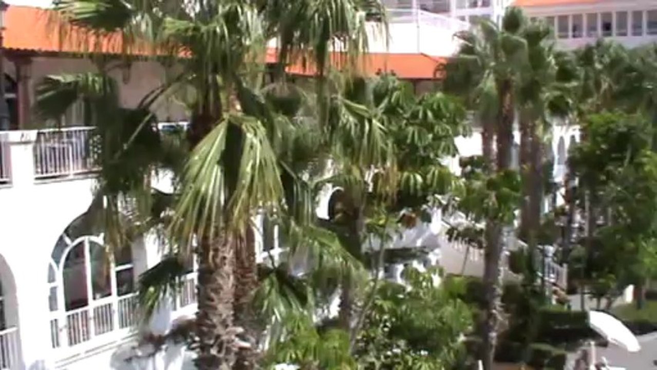 Riu Palace Madeira 4,5 Sterne Canico de Baixo Hotel Palmen Meer Strand Gehweg  Garten Hotel Palmen