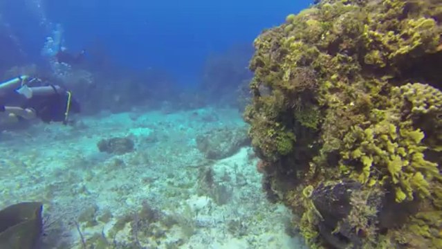 Mexique Plongée Cozumel