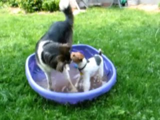 Gracie starts getting him back