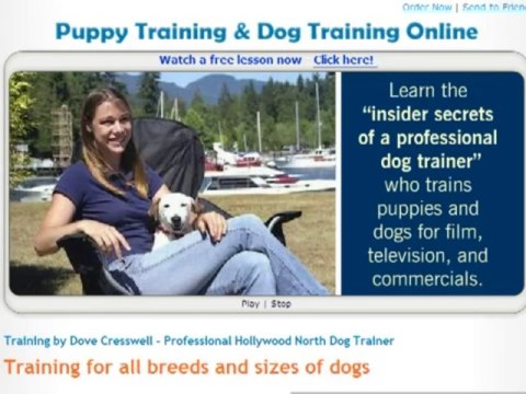 Dove Cresswells Dog Training Review of one of the most popular Dog Training Guides - Bonus Below