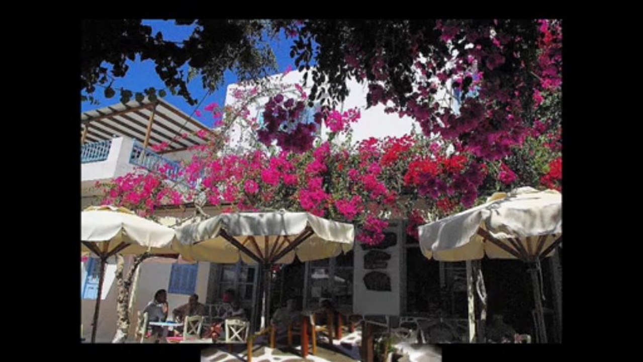 Paros 2013
