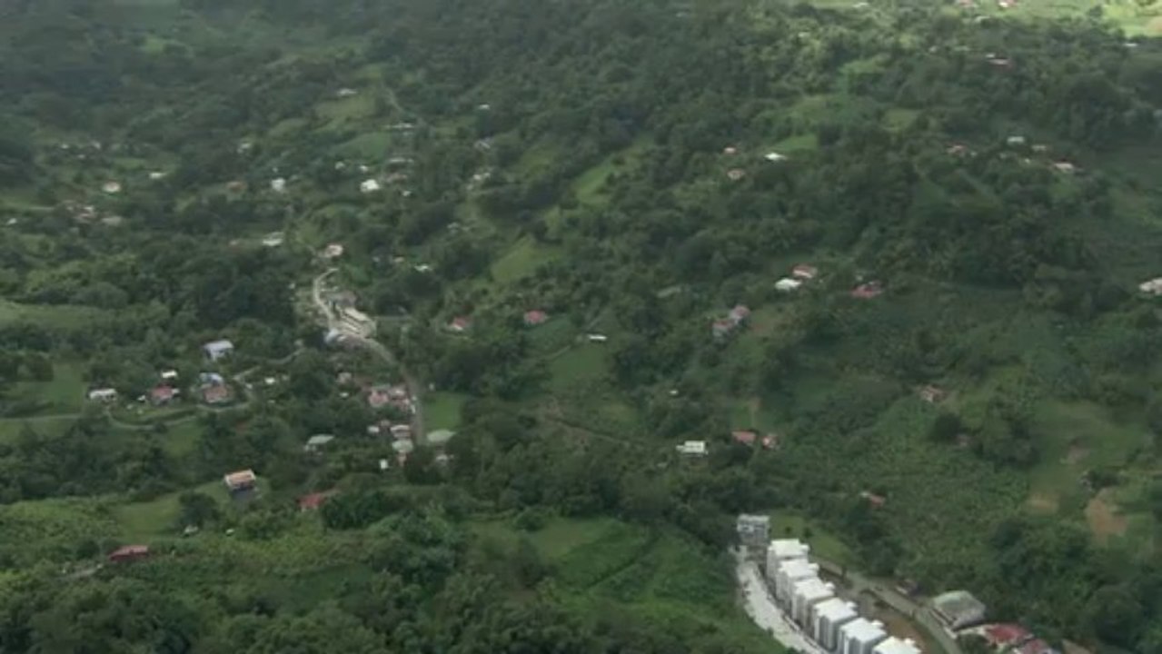 Ville du Gros-Morne : Fôret et Habitation