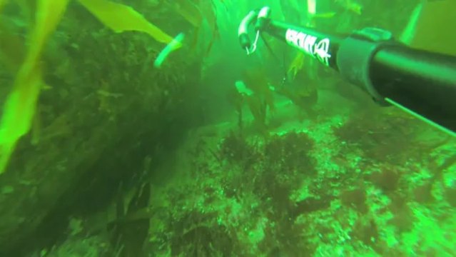 Scuba Team - Chasse sous marine - Bretagne, Bertheaume le 5/10/13